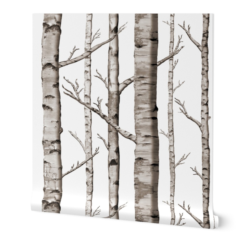 Birch Forest in Black and White