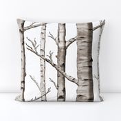 Birch Forest in Black and White