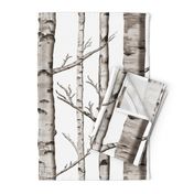 Birch Forest in Black and White