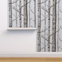 Birch Forest in Black and White