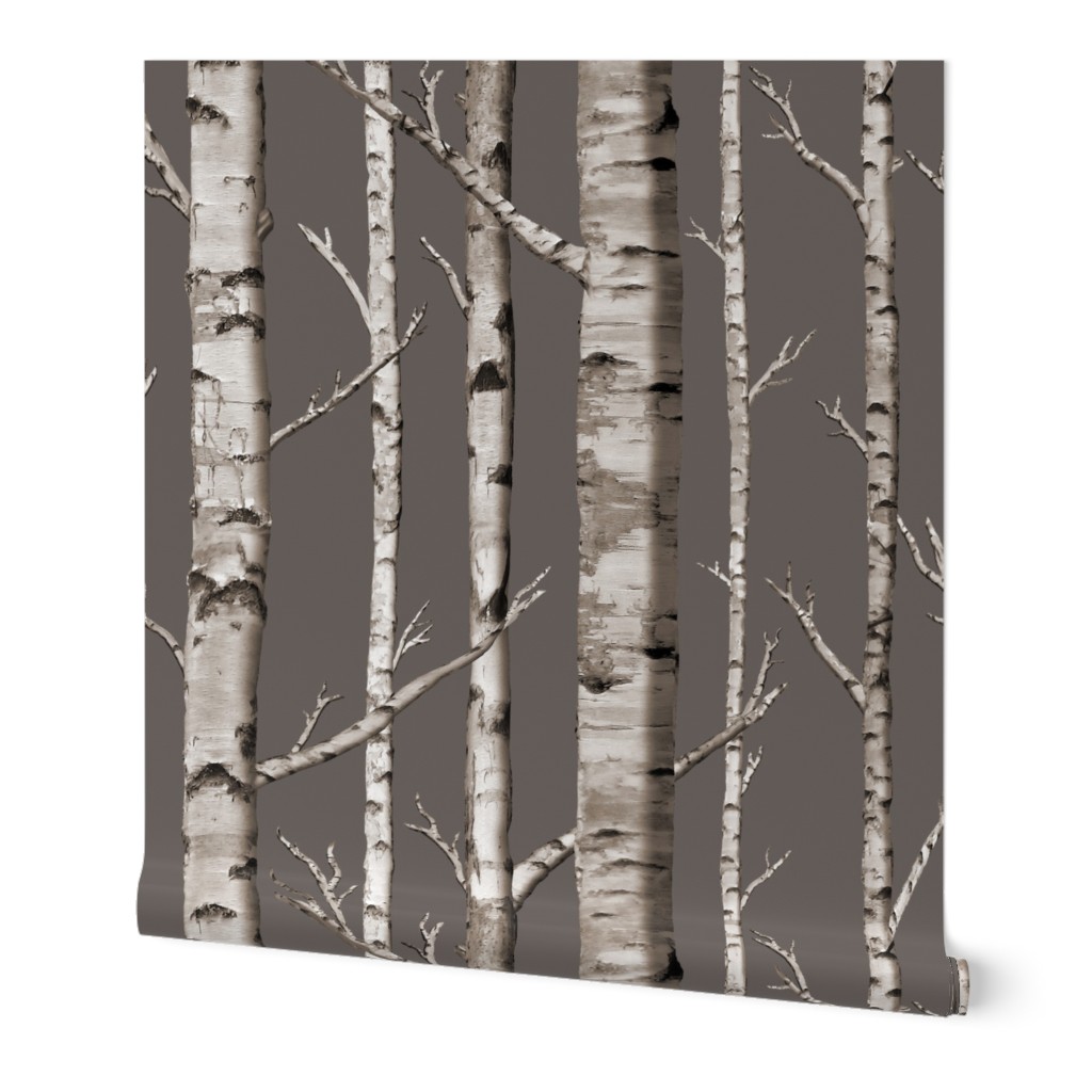 Birch Grove in Cashmere 