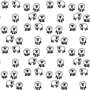 Sheep in Black and White