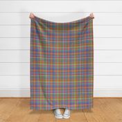 Rainbow Plaid - Pride Plaid - Multicolor Plaid