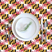 Small Maryland Flags - true color