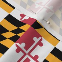 Small Maryland Flags - true color