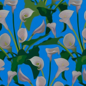 Calla lilies on a bright blue ground