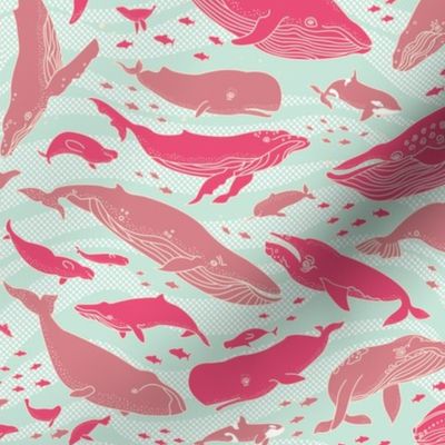 Whale Gathering Pink Small