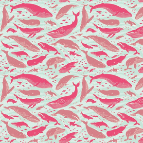 Whale Gathering Pink Small