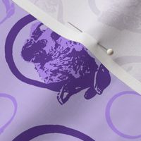 Collared Irish Terrier portraits - purple