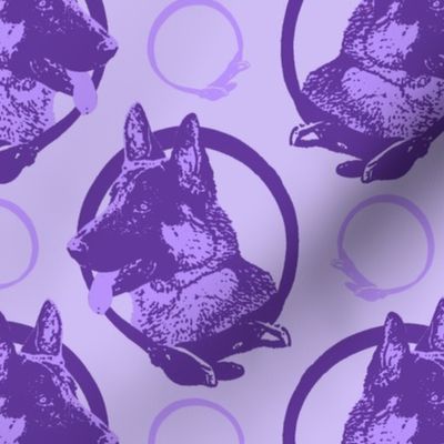Collared German Shepherd dog portraits - purple