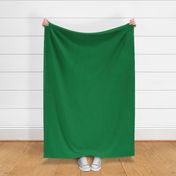 kelly green // solid green medium green coordinate