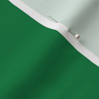 kelly green // solid green medium green coordinate