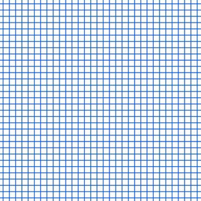 Blue On White Small Grid