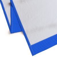 White On Blue Medium Grid