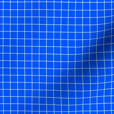 White On Blue Medium Grid