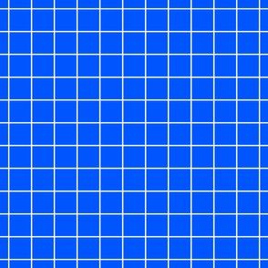 White On Blue Medium Grid