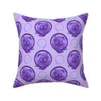 Collared Chow Chow portraits - purple