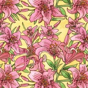 3023734-pink-lilies-by-julistyle