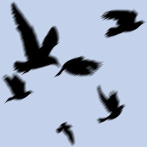 flying_birds_mist