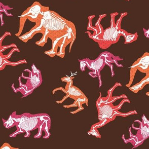 Summer Ungulate Skeletons