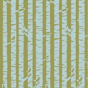  Birch Tree Forest