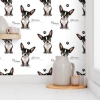 Boston Terrier Black white Pattern M