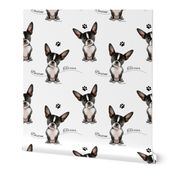 Boston Terrier Black white Pattern M