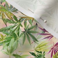 Bright Cannabis Leaves