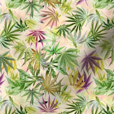 Bright Cannabis Leaves
