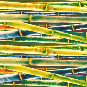 Multi Colored Bamboo