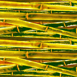 Gold Bamboo