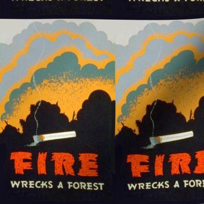 Fire Wrecks a forest WPA poster