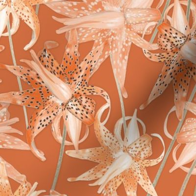 Tiger_Lilies