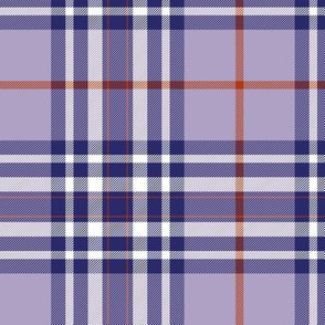 Southdown tartan - 6" custom purple