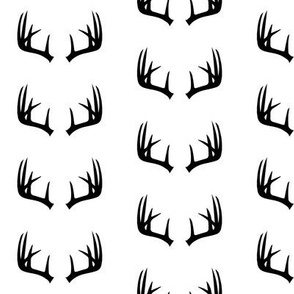 B&W Antlers // small scale