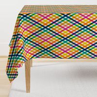 Birchdale (Multi Midi Argyle) || diagonal rainbow striped gingham