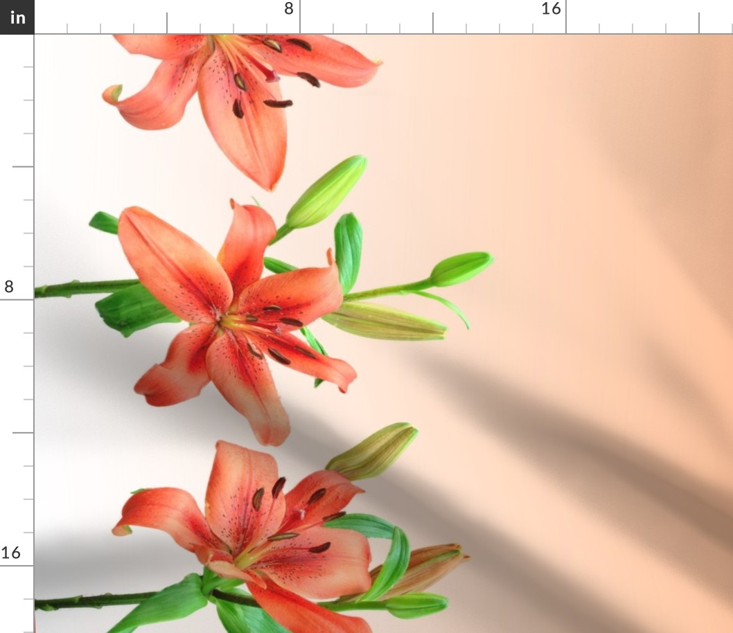 Lily border (gradient)