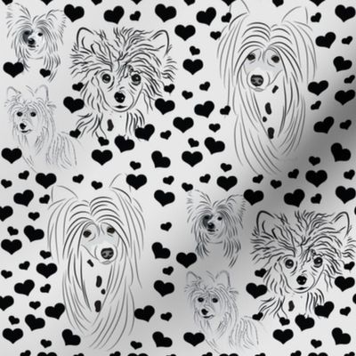 Chinese Crested Black & White with Hearts