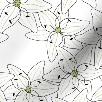 White Lilies (large)