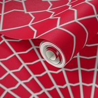 Spider web on Deep Red CC0022