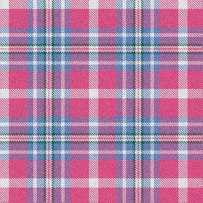 Pink and Cornflower Plaid