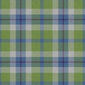 Blue and Green plaid