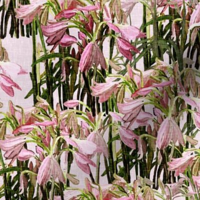 Sparse Easter lilies on pink canvas by Su_G_©SuSchaefer