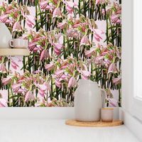 Sparse Easter lilies on pink canvas by Su_G_©SuSchaefer