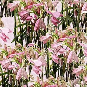 Sparse Easter lilies on pink canvas by Su_G_©SuSchaefer
