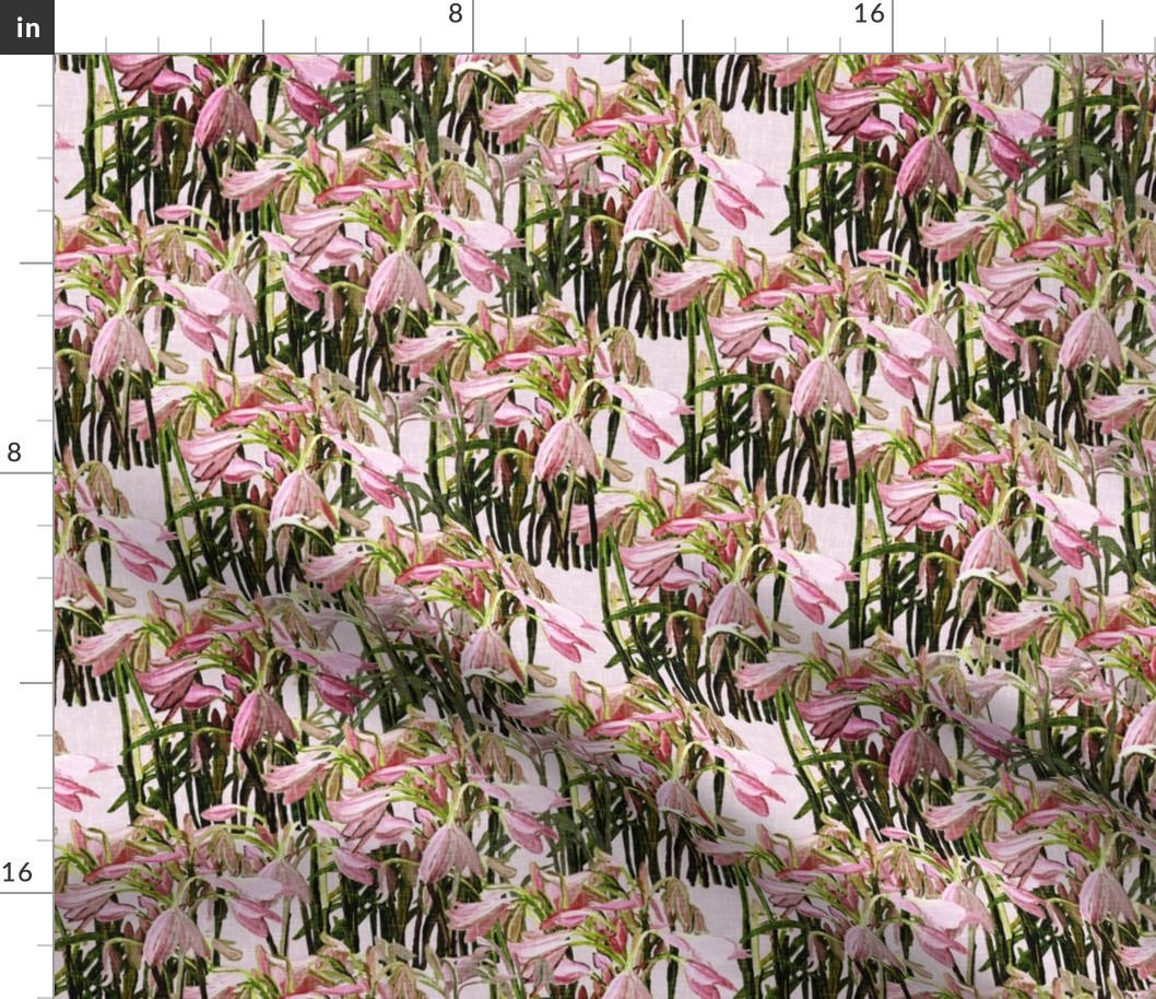 Sparse Easter lilies on pink canvas by Su_G_©SuSchaefer