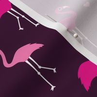 Exotic paradise bird flamingo summer print