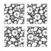 clear cut flowers - black and white floral