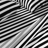 Black and white stripes