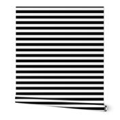 Black and white stripes